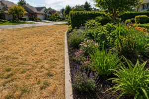 irrigation system 