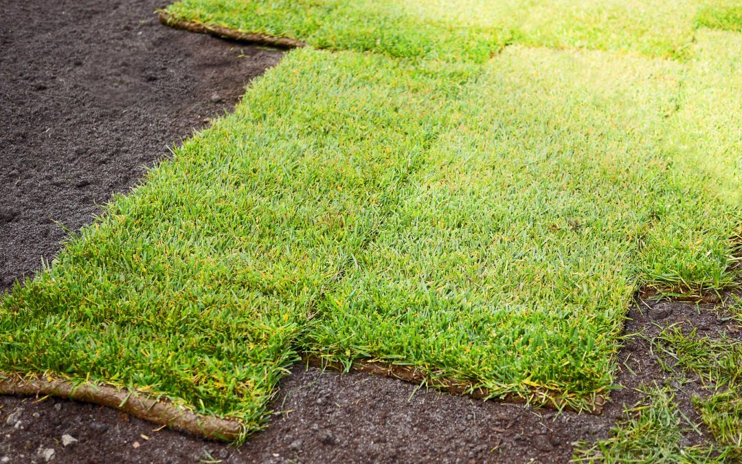 8 Proven Steps to Successfully Lay a Sod Lawn in Victoria, BC