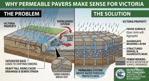 Paver