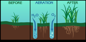 Soil Health: The Foundation AI Helps You See