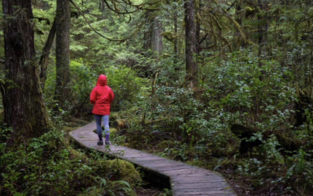 Year-Round Flora & Impact: Vancouver Island Exploration