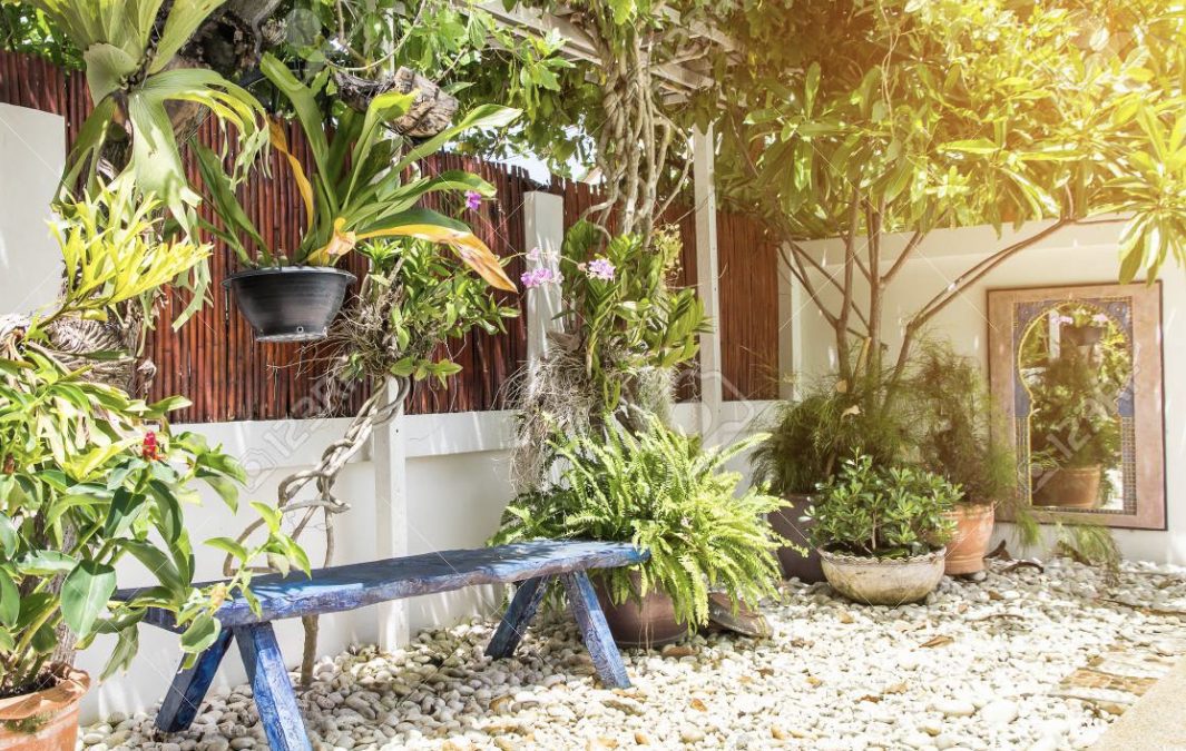 Small Garden Magic: Maximizing Space in a Tiny Yard