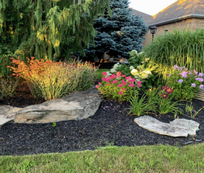 Xeriscaping: Water Conservation and Aesthetic Appeal