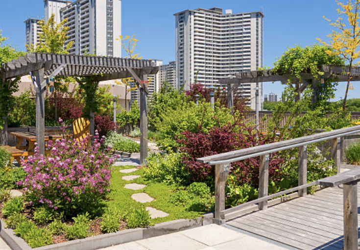 A Beginner’s Guide to Urban Rooftop Gardens