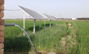 Solar-Powered Irrigation for Greener Commercial Landscapes