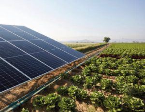 Solar-Powered Irrigation for Greener Commercial Landscapes