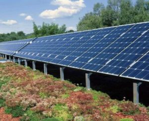 Beyond Green: Renewable Energy in Commercial Landscaping