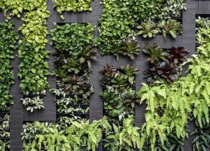 Innovative Green Future for Vancouver Island Commercial Landscaping