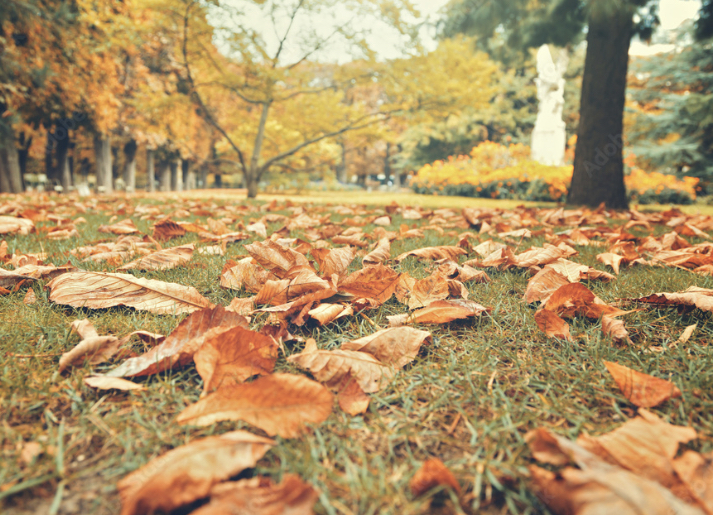 The Magic of Fall in Your Workspace