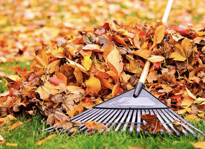 Safety First: Managing Leaves and Debris