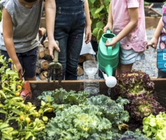 Advantages of Downsizing Your Backyard Garden
