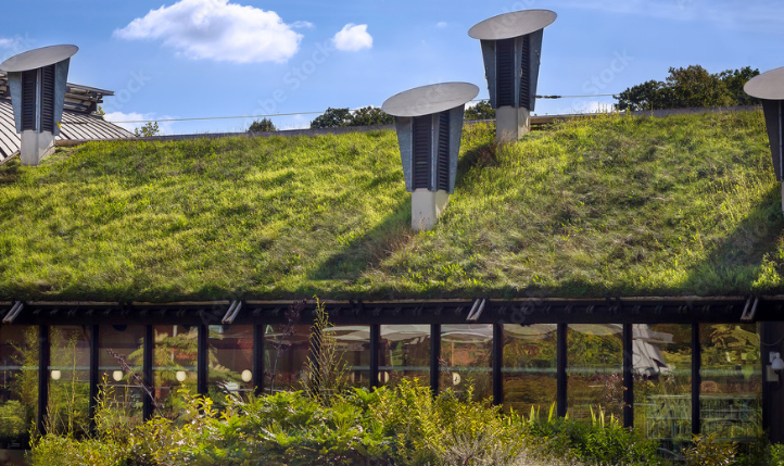 Living Roofscapes: Elevated Commercial Landscaping
