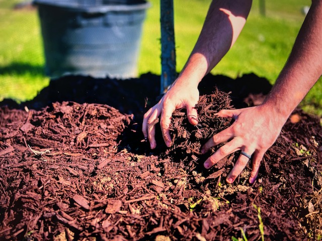 To Mulch or Not to Mulch: Pros and Cons for Commercial Properties