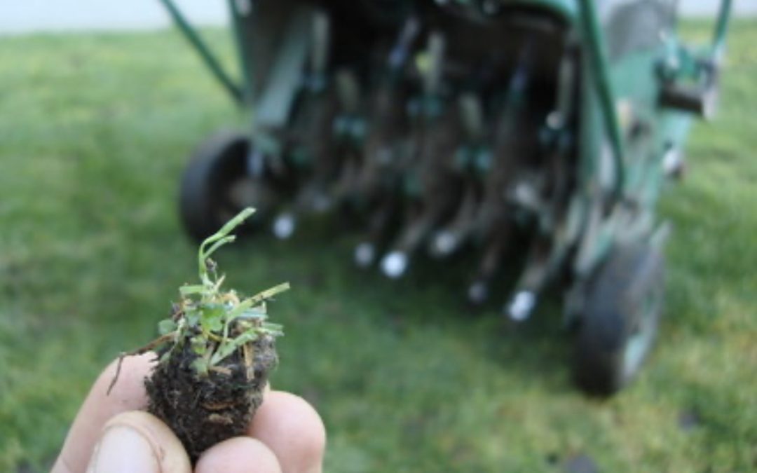 How to Aerate a Regular-Sized Lawn