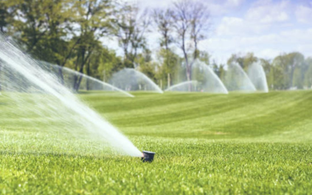 Choosing the Right Irrigation System for Your Commercial Landscaping Project