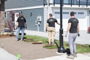 Investing in Quality Landscaping