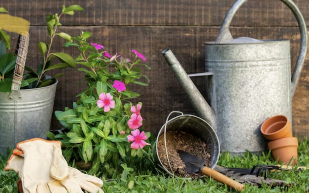 Safe Spring Gardening Tips for Beginners