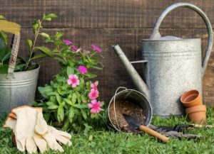 Safe Spring Gardening Tips for Vancouver Island Beginners