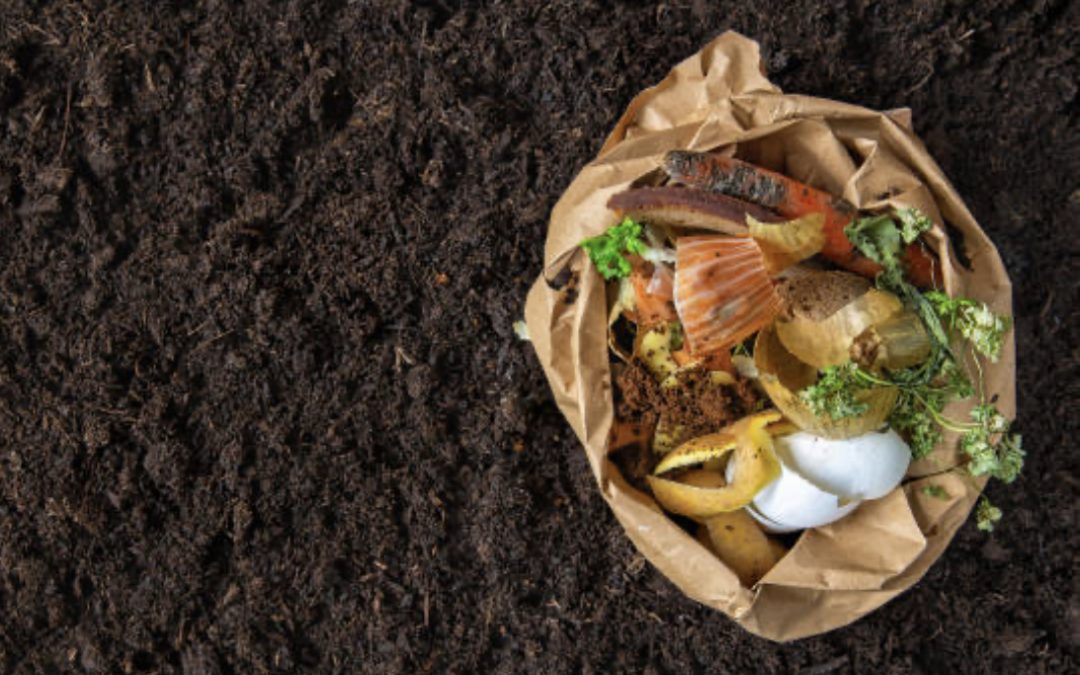 Getting Started with Composting: Tips for Beginners