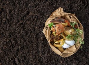 Getting Started with Composting: Tips for Beginners