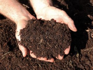 Getting Started with Composting: Tips for Beginners