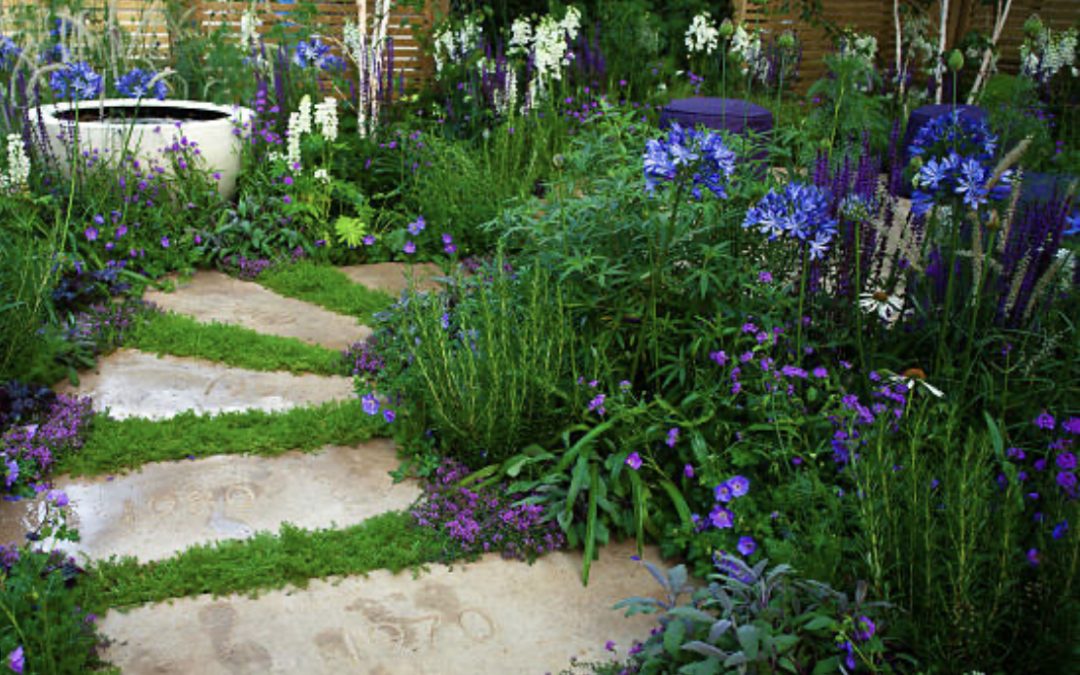 Budget Garden Path Guide