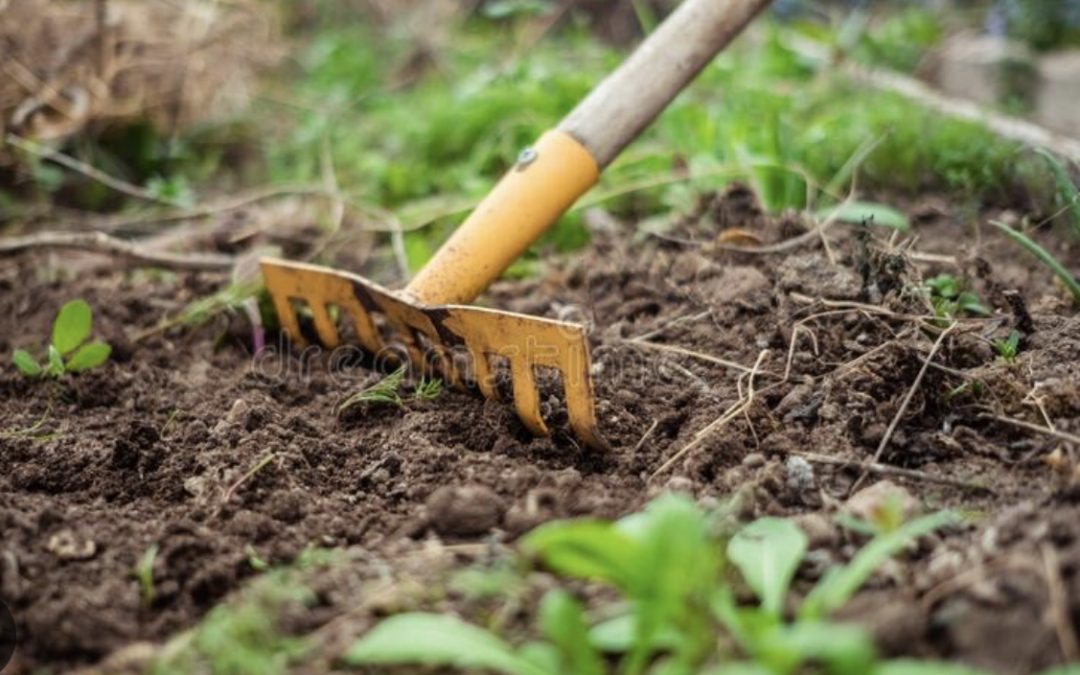 Soil Prep for Landscaping