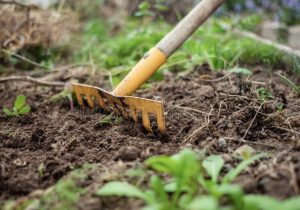 Soil Prep for Landscaping