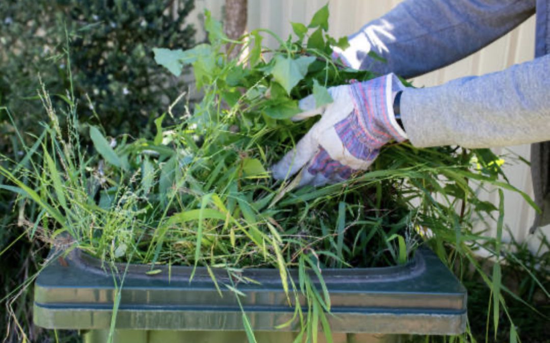 Eco-Friendly Garden Waste Disposal