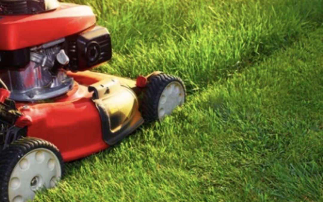 The Best Frequency for Mowing Your Lawn