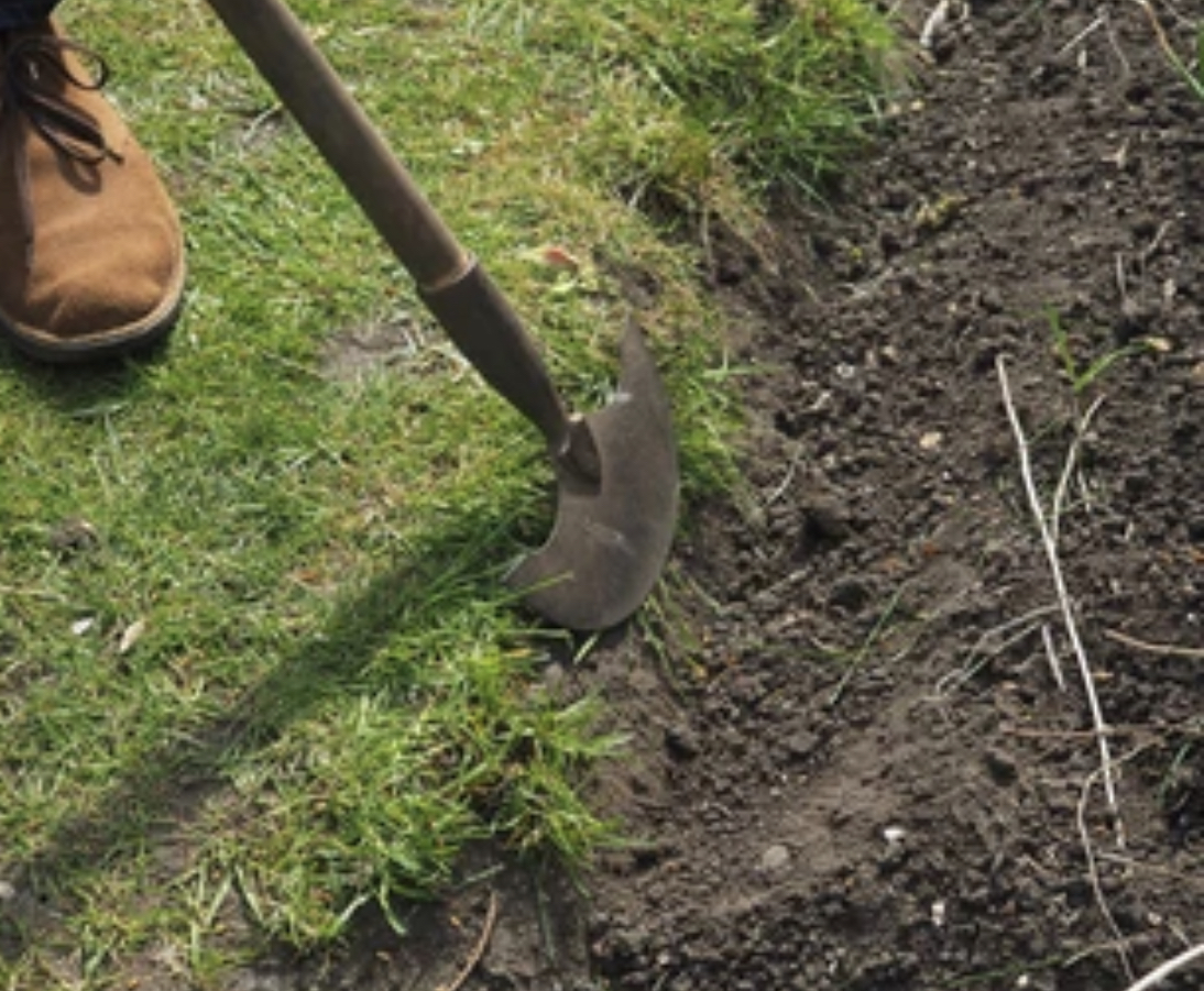 Edging Your Lawn Like a Pro IslandEarth Landscape Services LTD