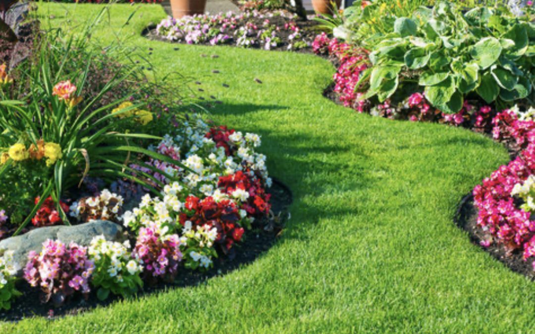 6 Money-Saving Lawn Care Hacks