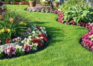 6 Lawn Care Hacks to Help You Save Money