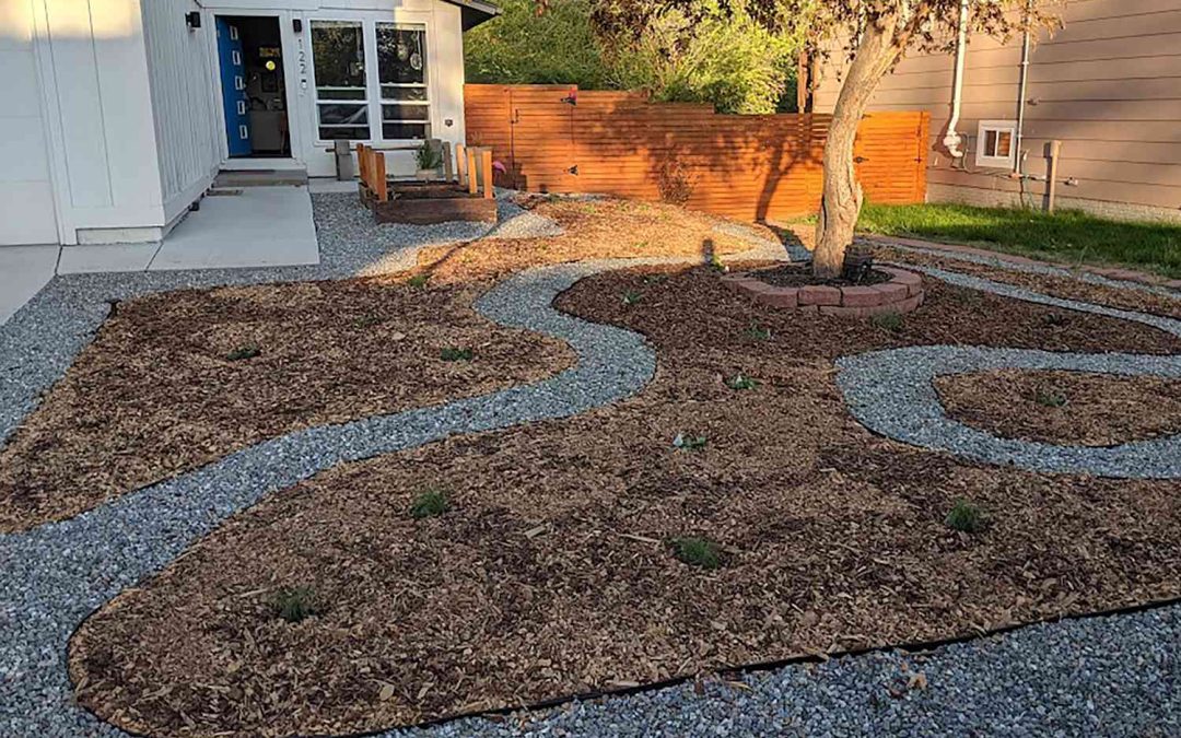 7 Smart Steps: How Do You Create a Low-Maintenance Yard on Vancouver Island?