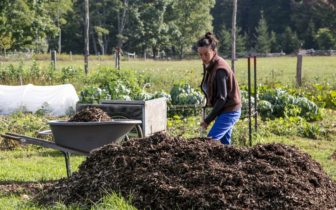 8 Steps to Prepare Your Garden Beds for Spring Growth in Victoria BC