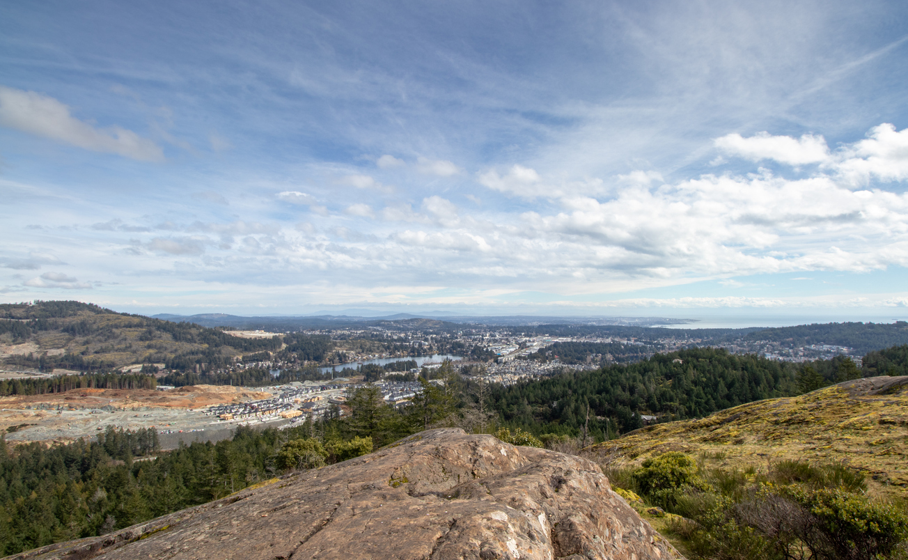 Aerial View commercial landscaping langford bc