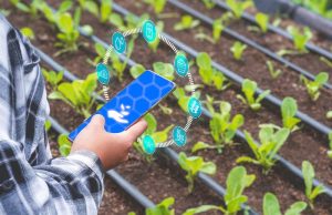 https://www.crd.ca/environment/water-conservation/watering-schedule