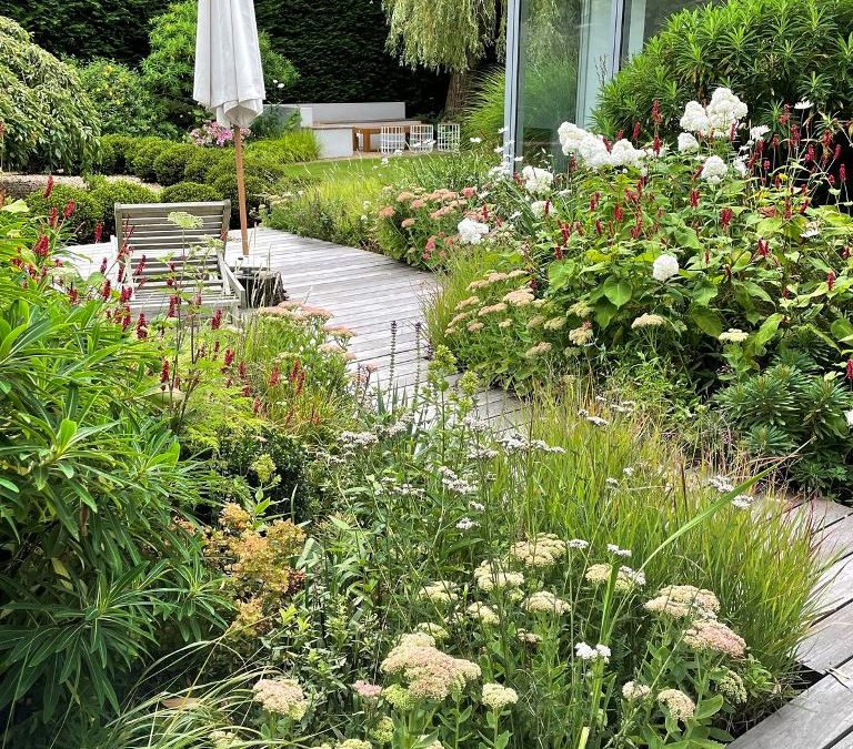 7 Surprising Reasons AI Is Making Landscapes Messier — and Healthier