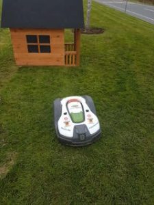 MOE: The Robotic Lawnmower Captivating Hearts Worldwide