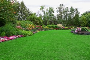 Image depicting Green Lawn in Landscaped Formal Garden